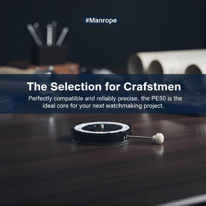 Mouvement de montre à quartz P - Perpetual Calendar Watch avis et prix